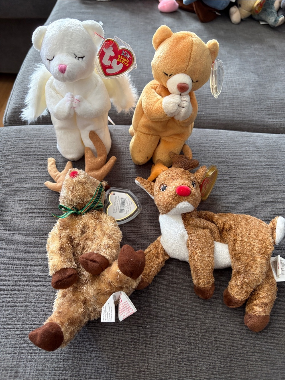 Ty Bundle- Blessed, Hope, Roxie & Rudy